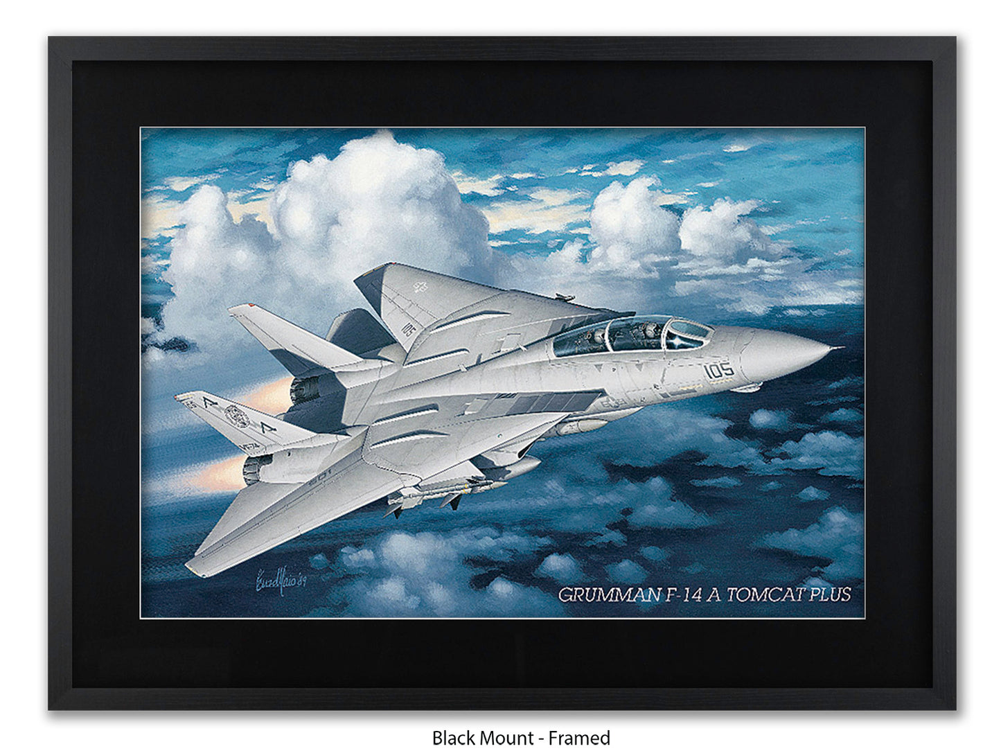 Grumman F-14 Tomcat Aviation Poster