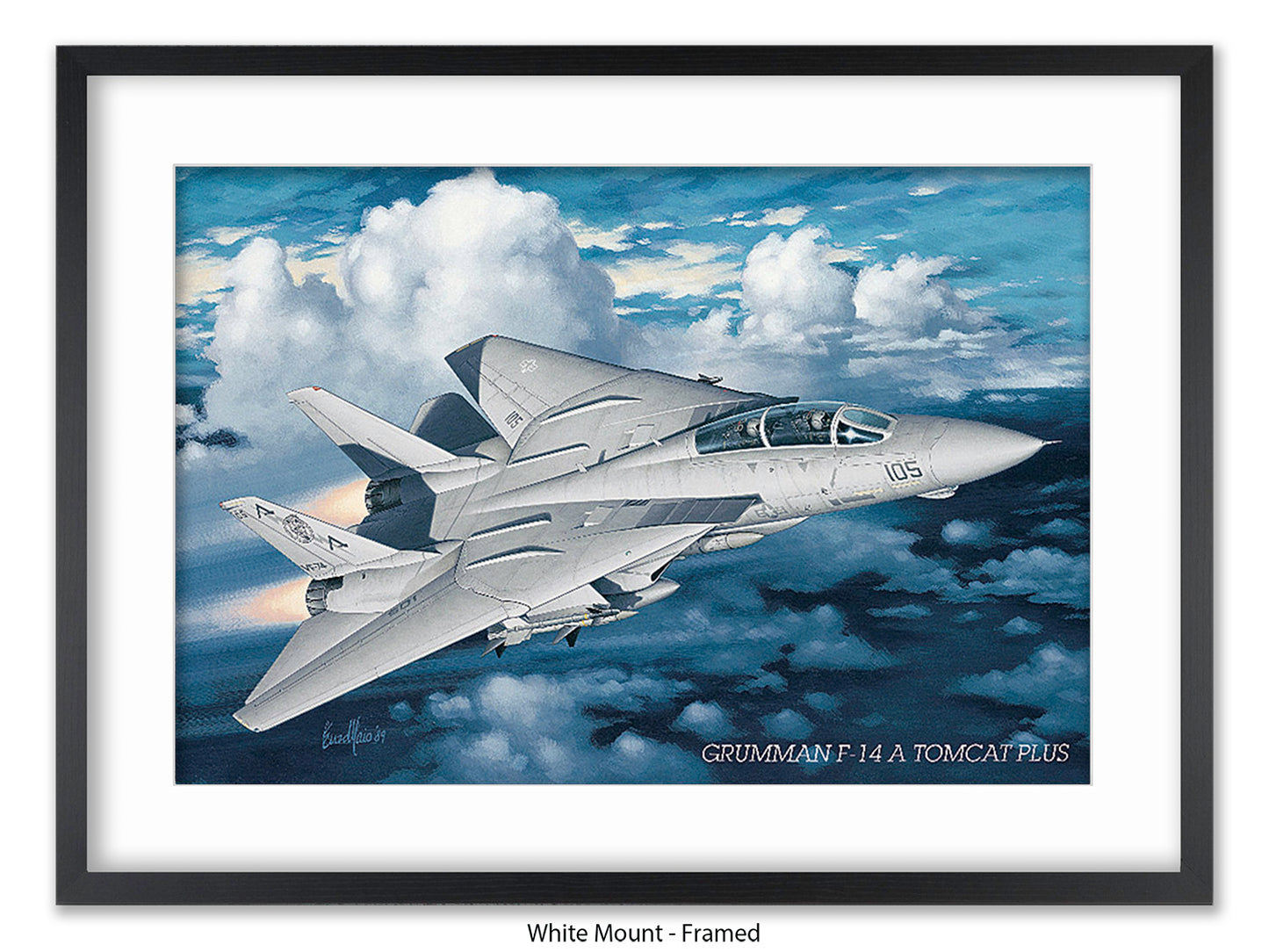 Grumman F-14 Tomcat Aviation Poster