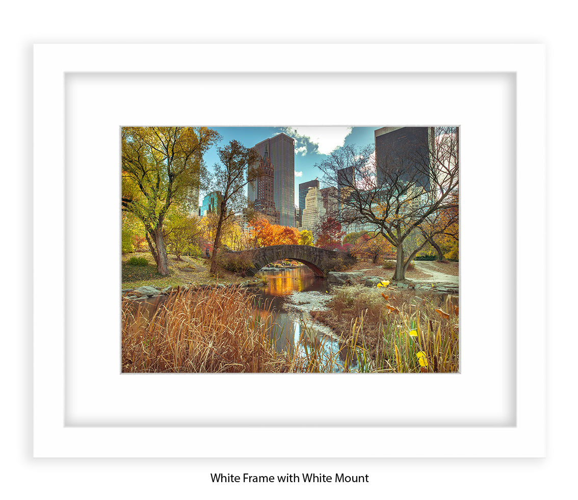 NYC Central Park Bridge Colour Assaf Frank Art Print