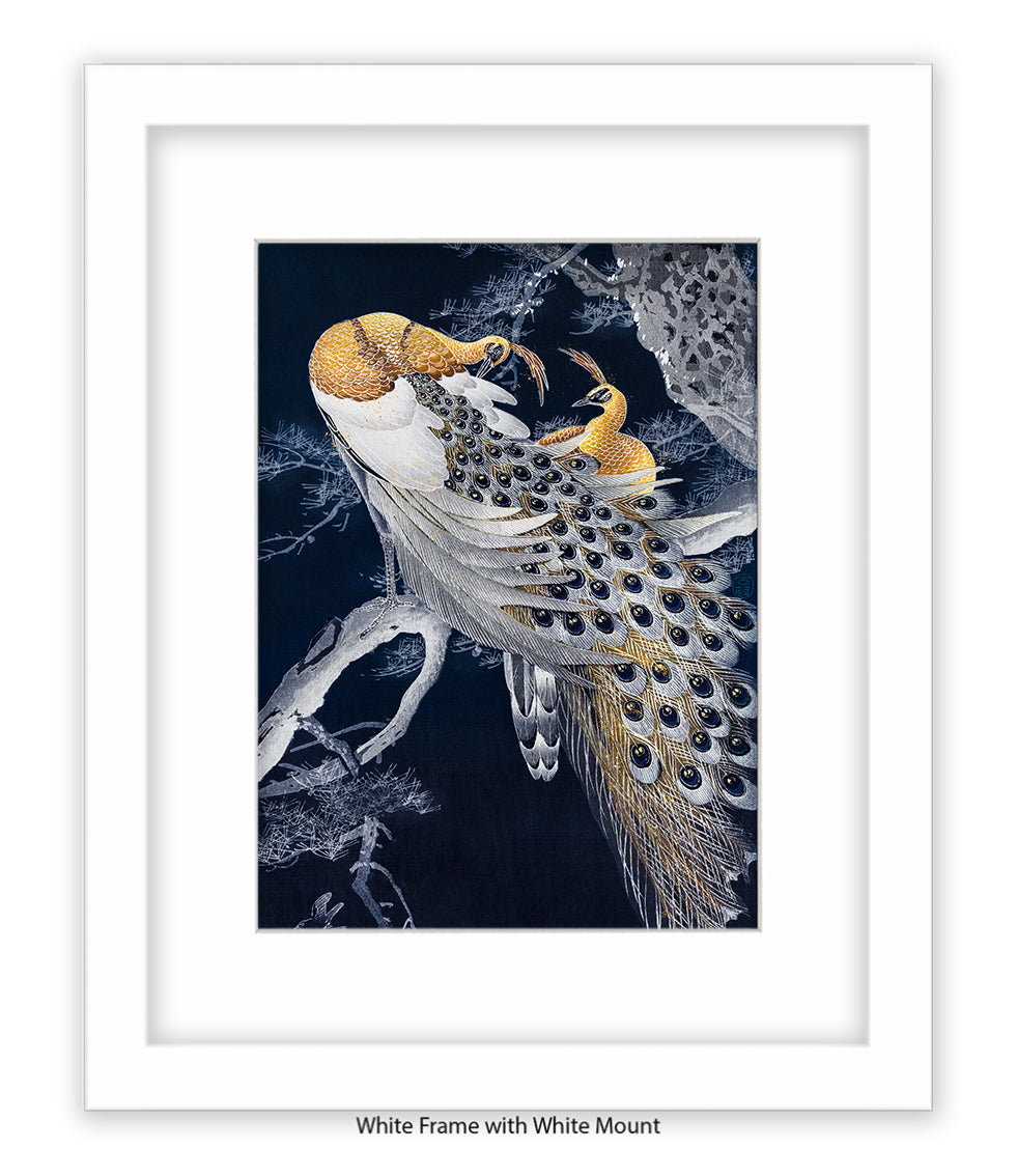 Peacocks Art Print