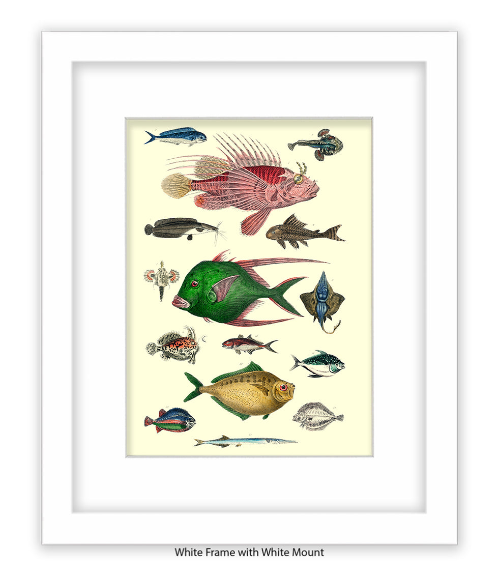 Tropical Fish 1-15 - Art Print