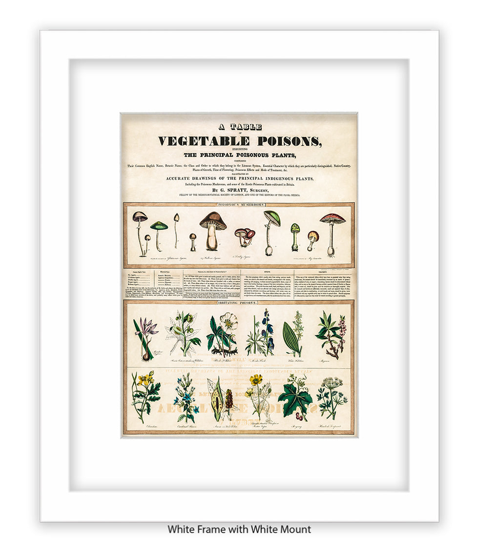 Vegetable - Piosons Art Print