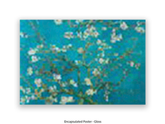 Van Gogh Almond Blossom Giant Poster