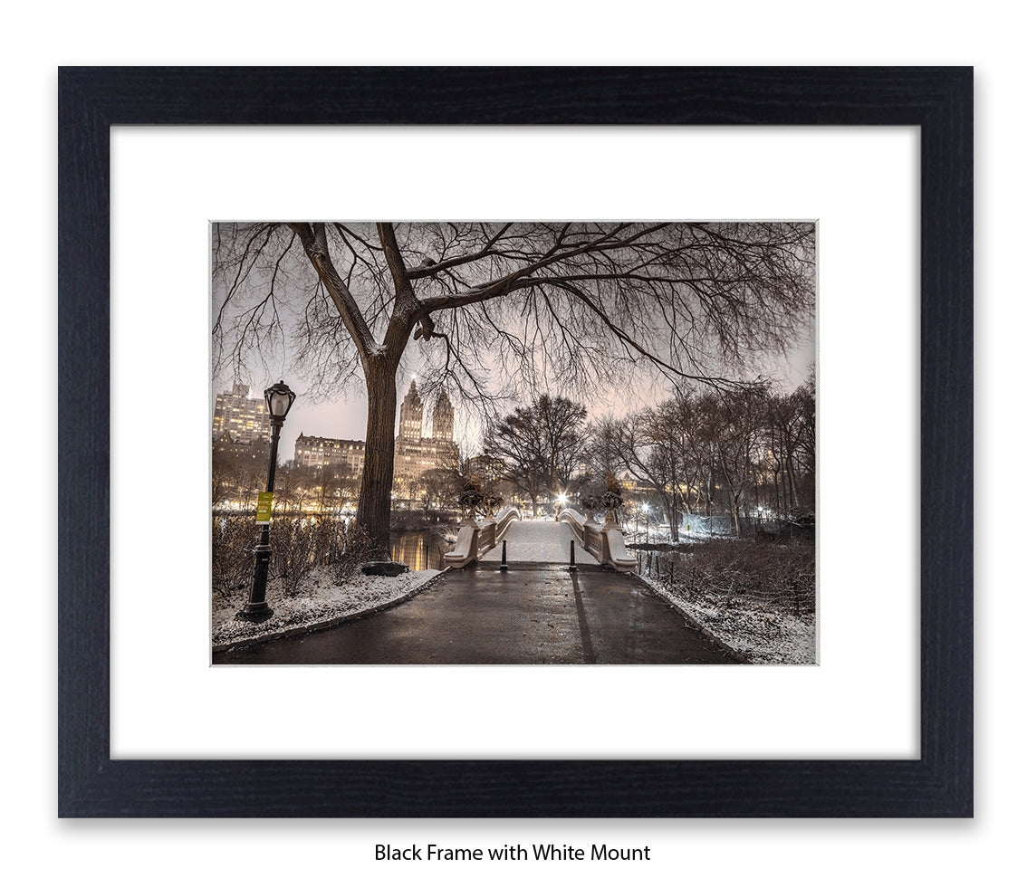 NYC Central Park - Evening View - Mounted & Framed Art Print