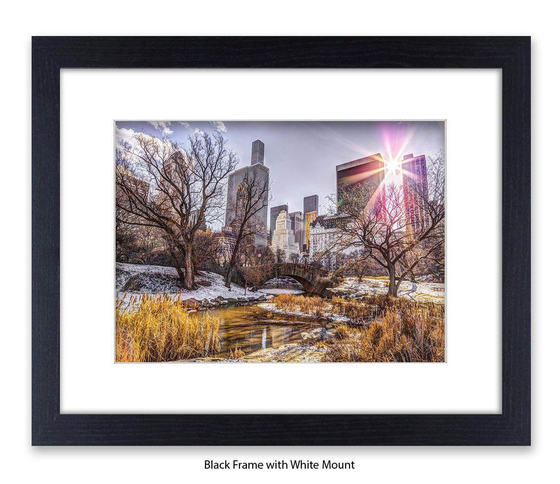 NYC Central Park Sunlight - Mounted & Framed Art Print