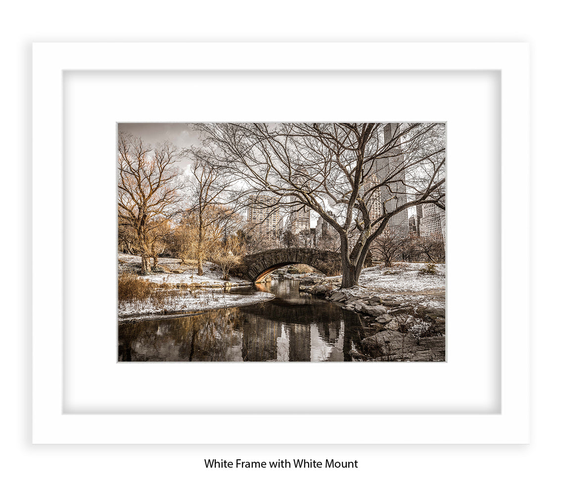 NYC - Central Park Winters Day - Mounted & Framed Art Print
