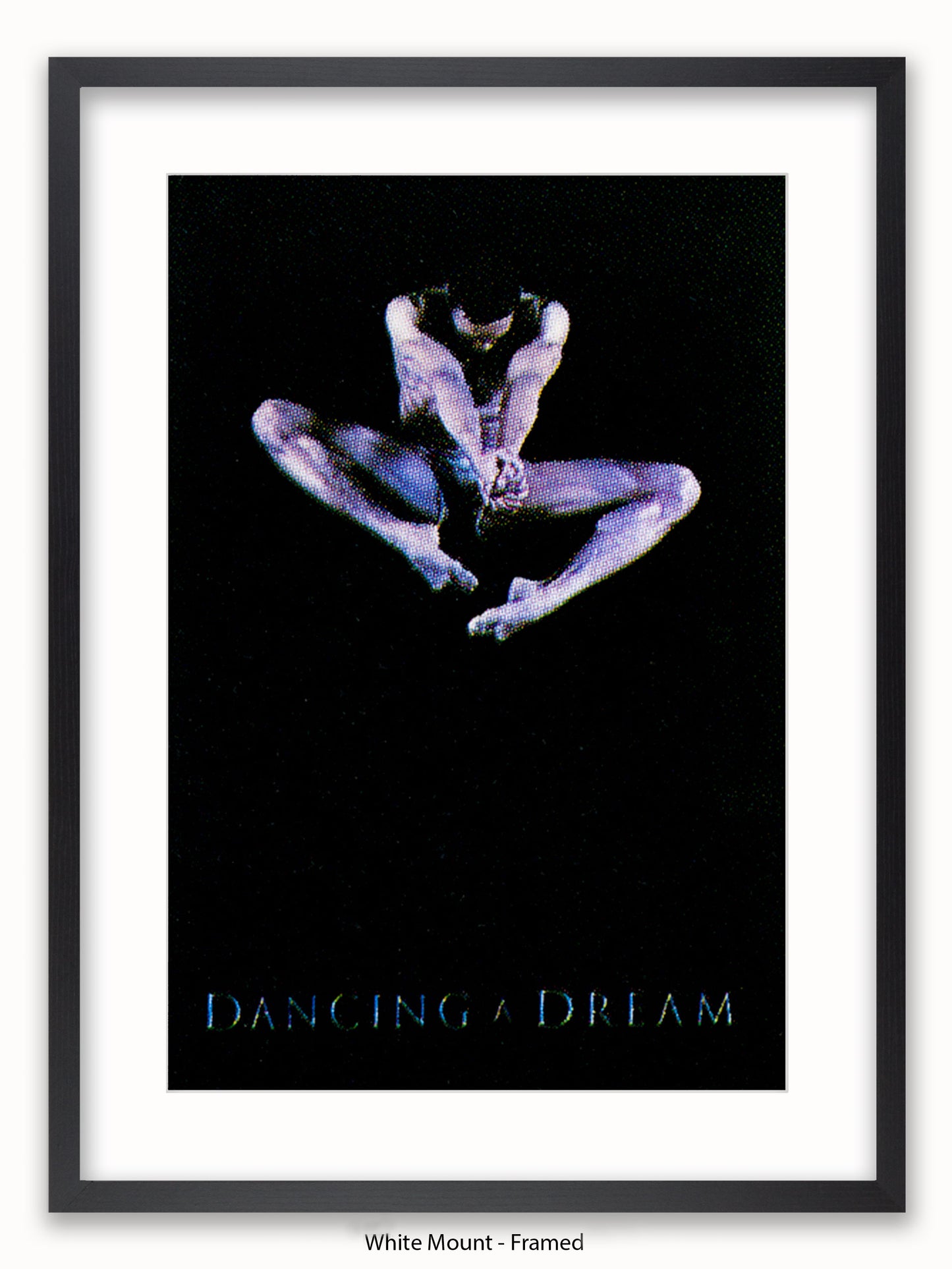 Dancing A Dream Poster