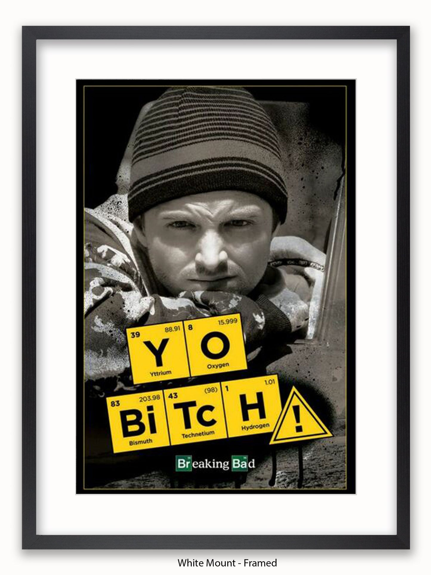 Breaking Bad Yo Bitch Poster