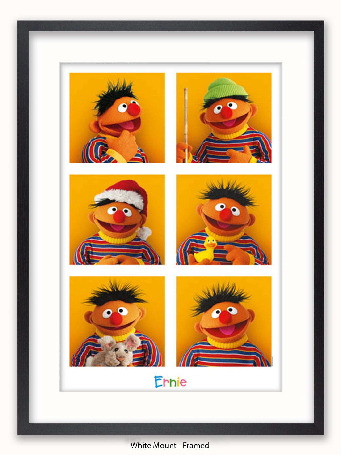 Sesame Street 6 Ernies Poster