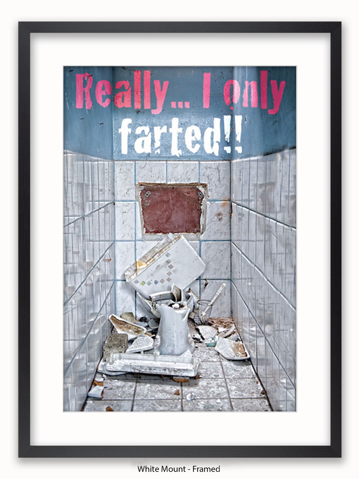 Really I Only Farted Poster