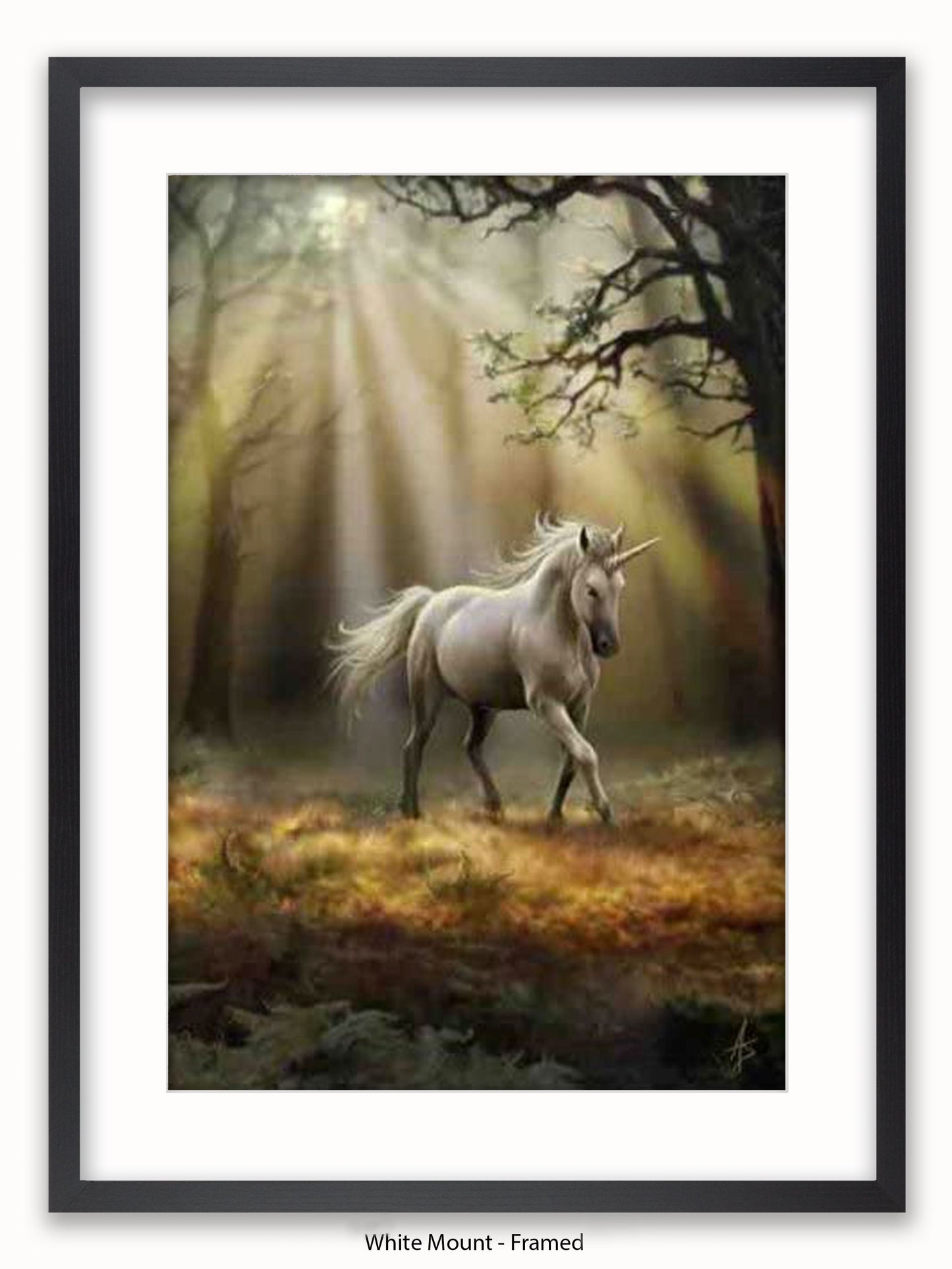 Anne Stokes Glimpse Of The Unicorn Poster