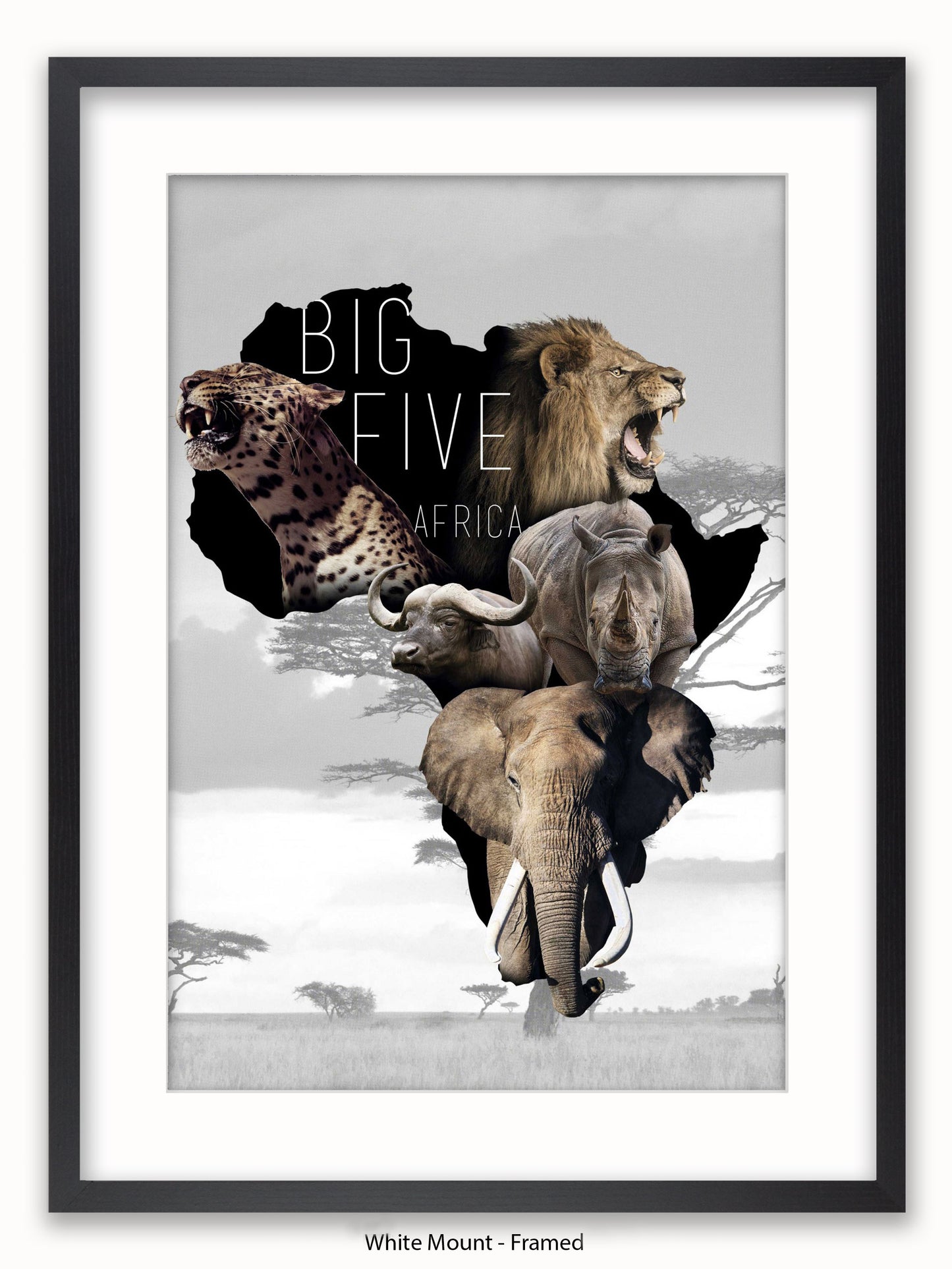 African Animals The Big Five Poster