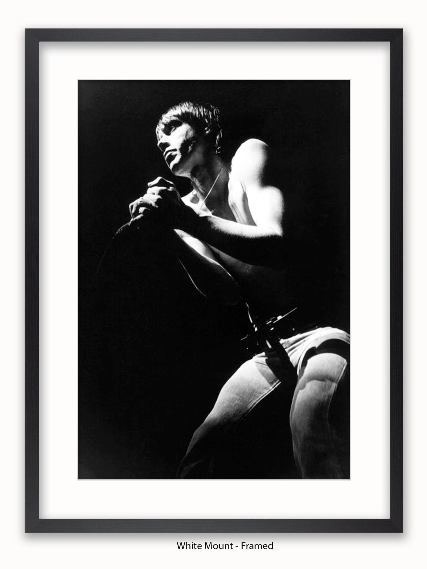 Iggy Pop - Rainbow Theatre - London March 1977 Poster