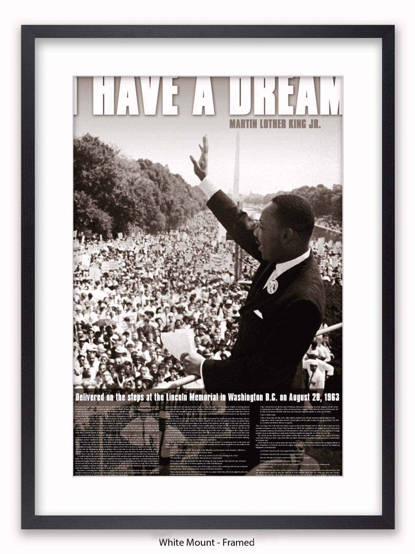Martin Luther King I Have A Dream Poster