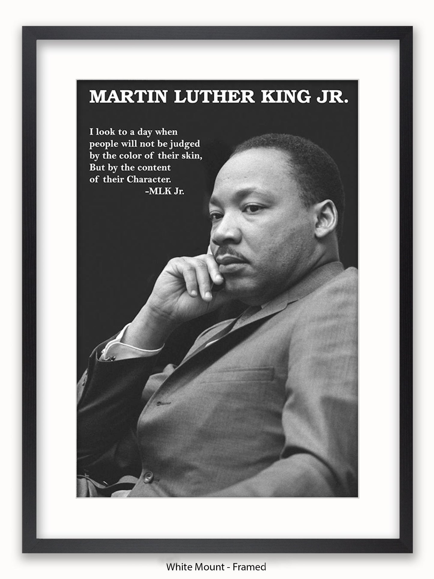 Martin Luther King Jr Poster
