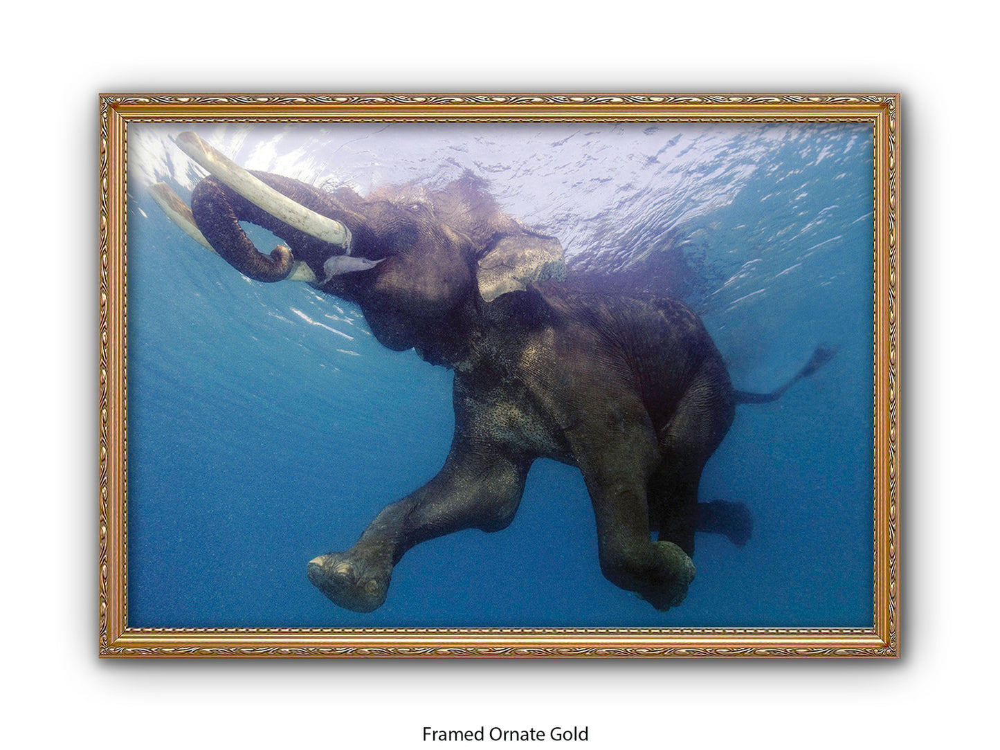 Elephant Underwater Wildlife Photo Poster