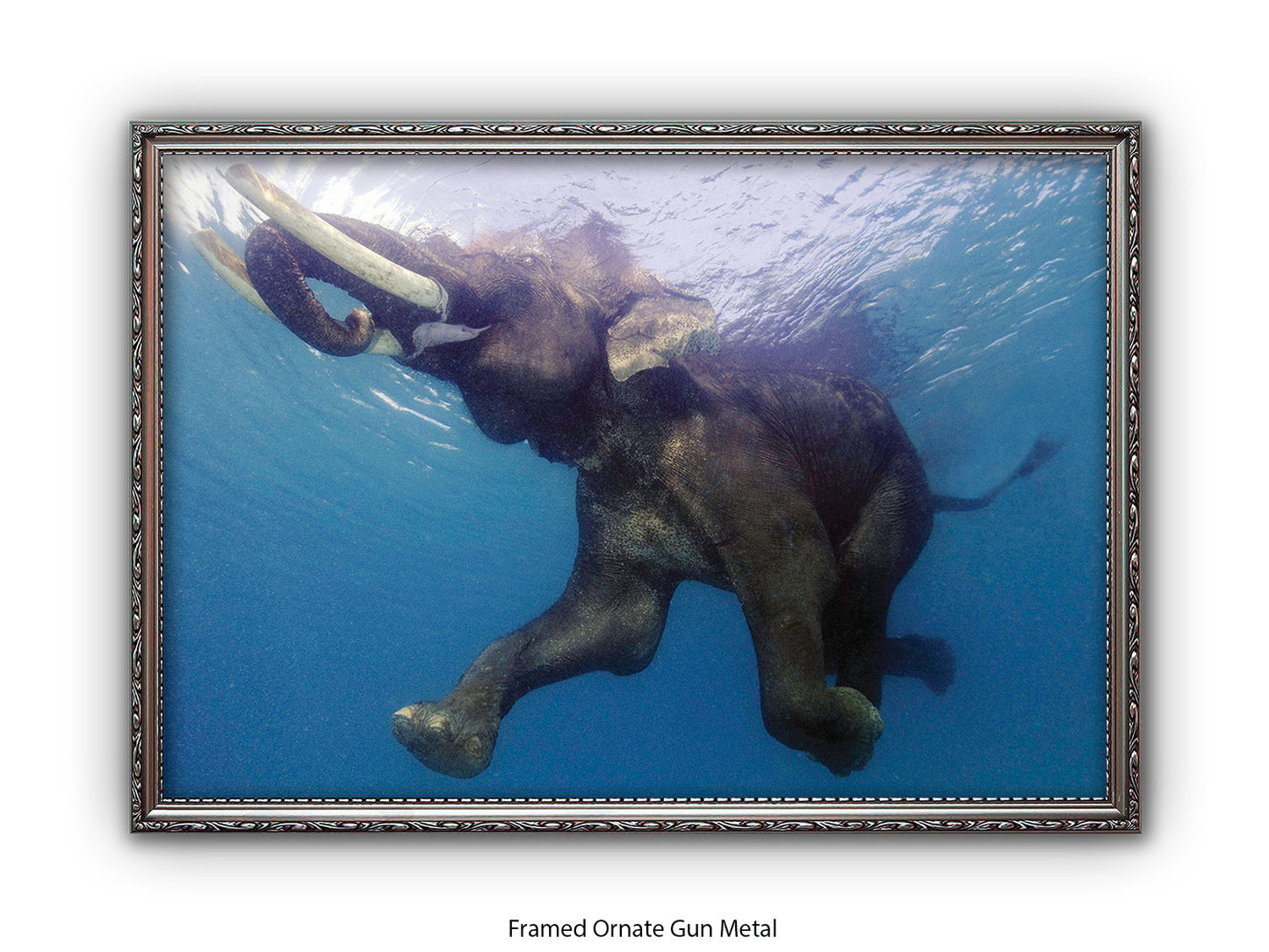 Elephant Underwater Wildlife Photo Poster