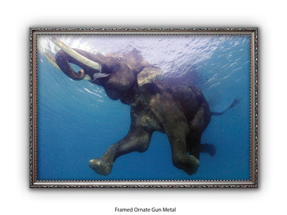 Elephant Underwater Wildlife Photo Poster