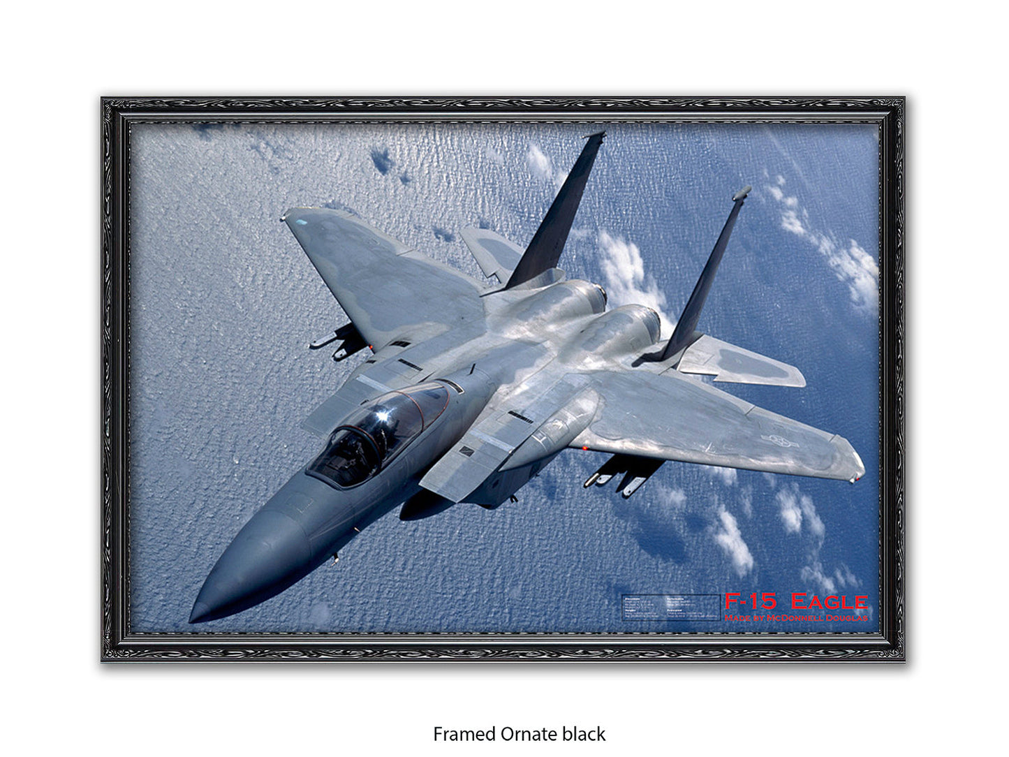 Fighter Plane Eagle F15 Poster