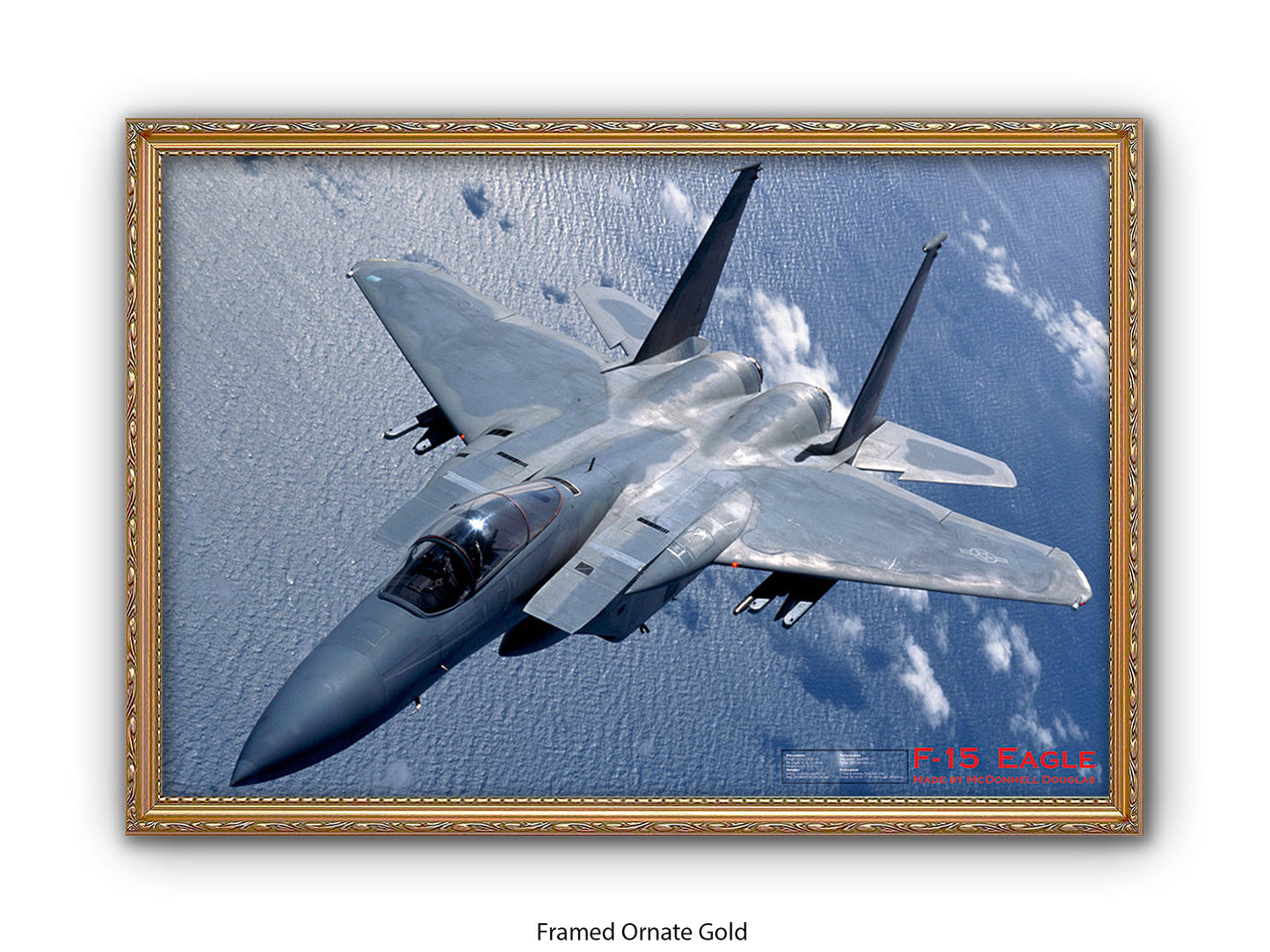 Fighter Plane Eagle F15 Poster