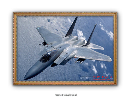 Fighter Plane Eagle F15 Poster