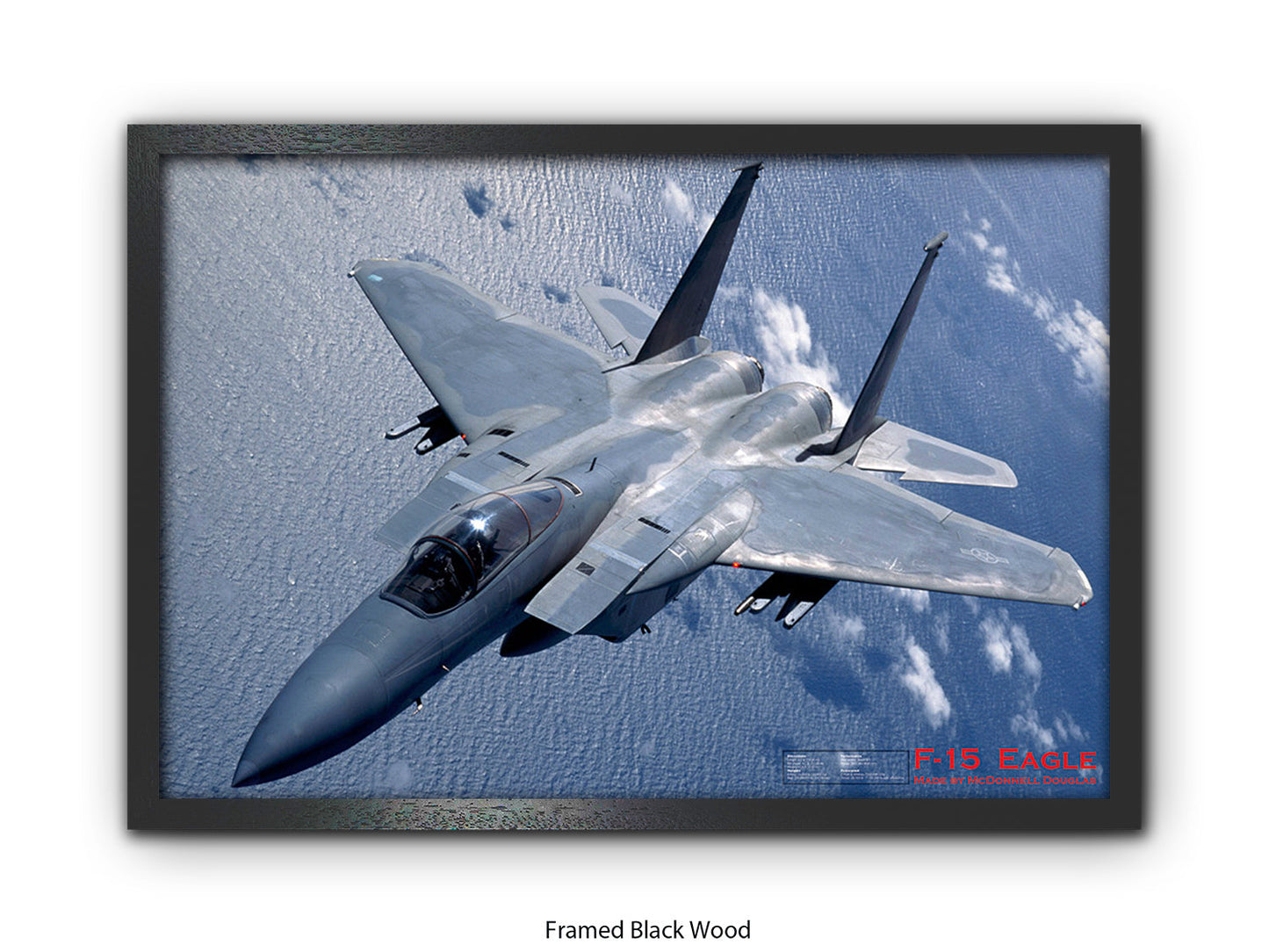 Fighter Plane Eagle F15 Poster