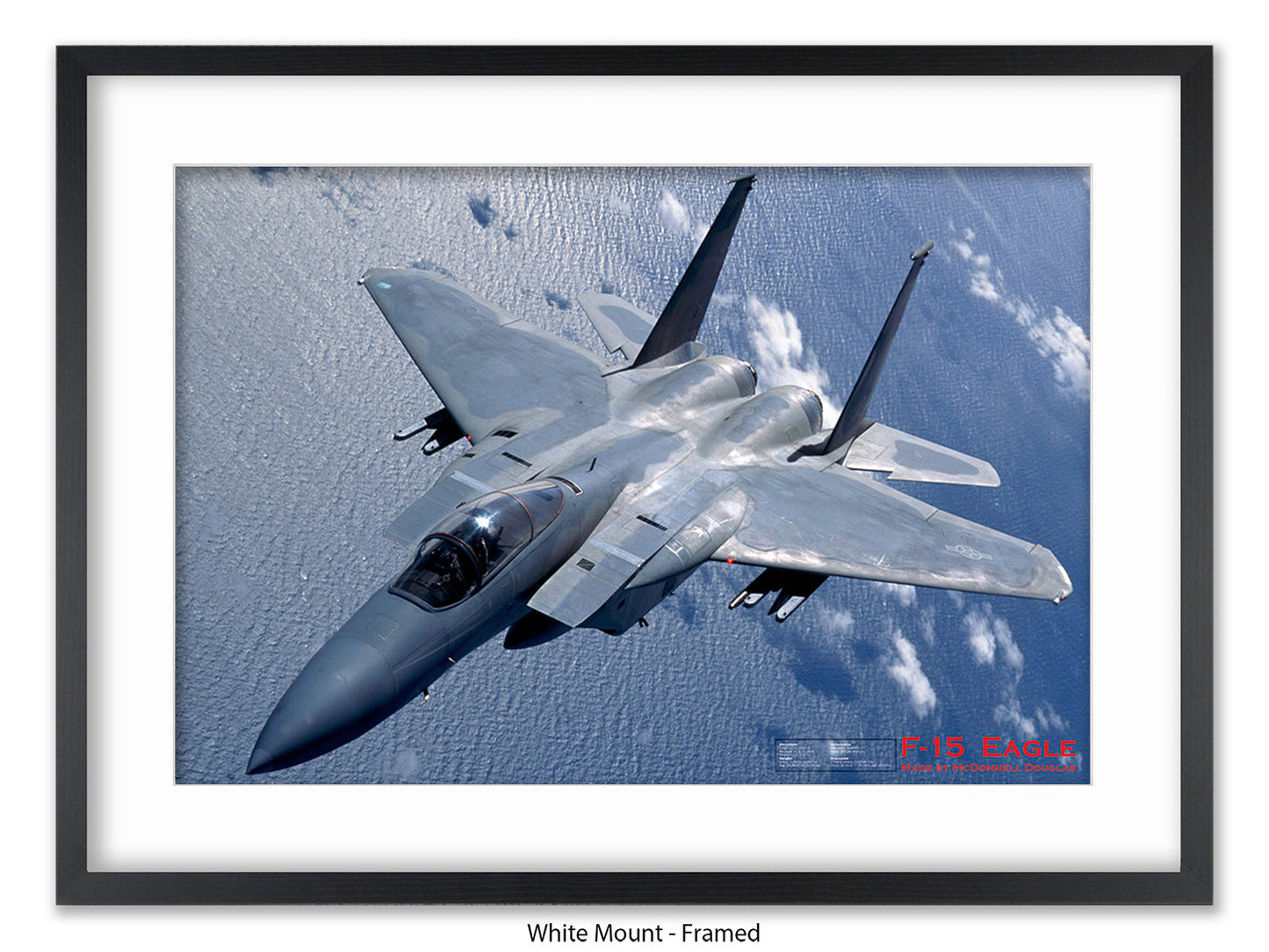 Fighter Plane Eagle F15 Poster