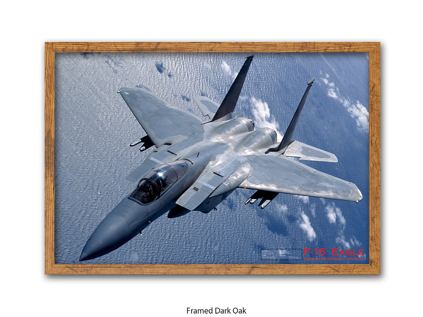 Fighter Plane Eagle F15 Poster