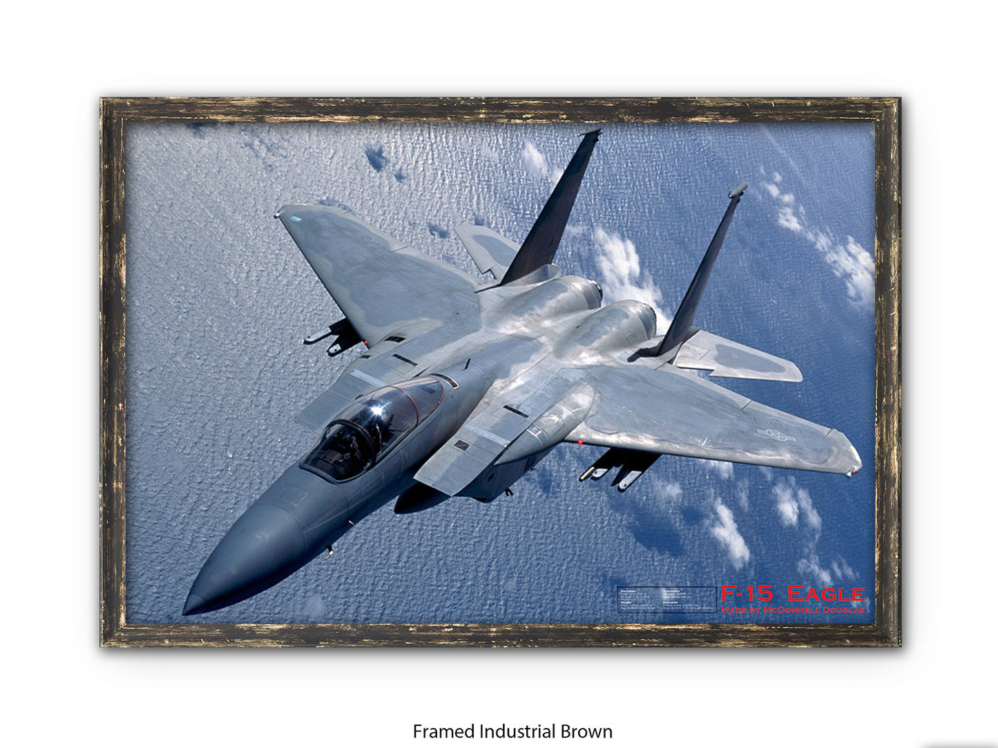 Fighter Plane Eagle F15 Poster