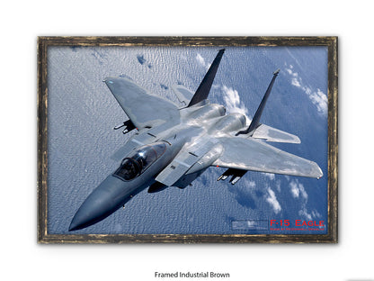Fighter Plane Eagle F15 Poster