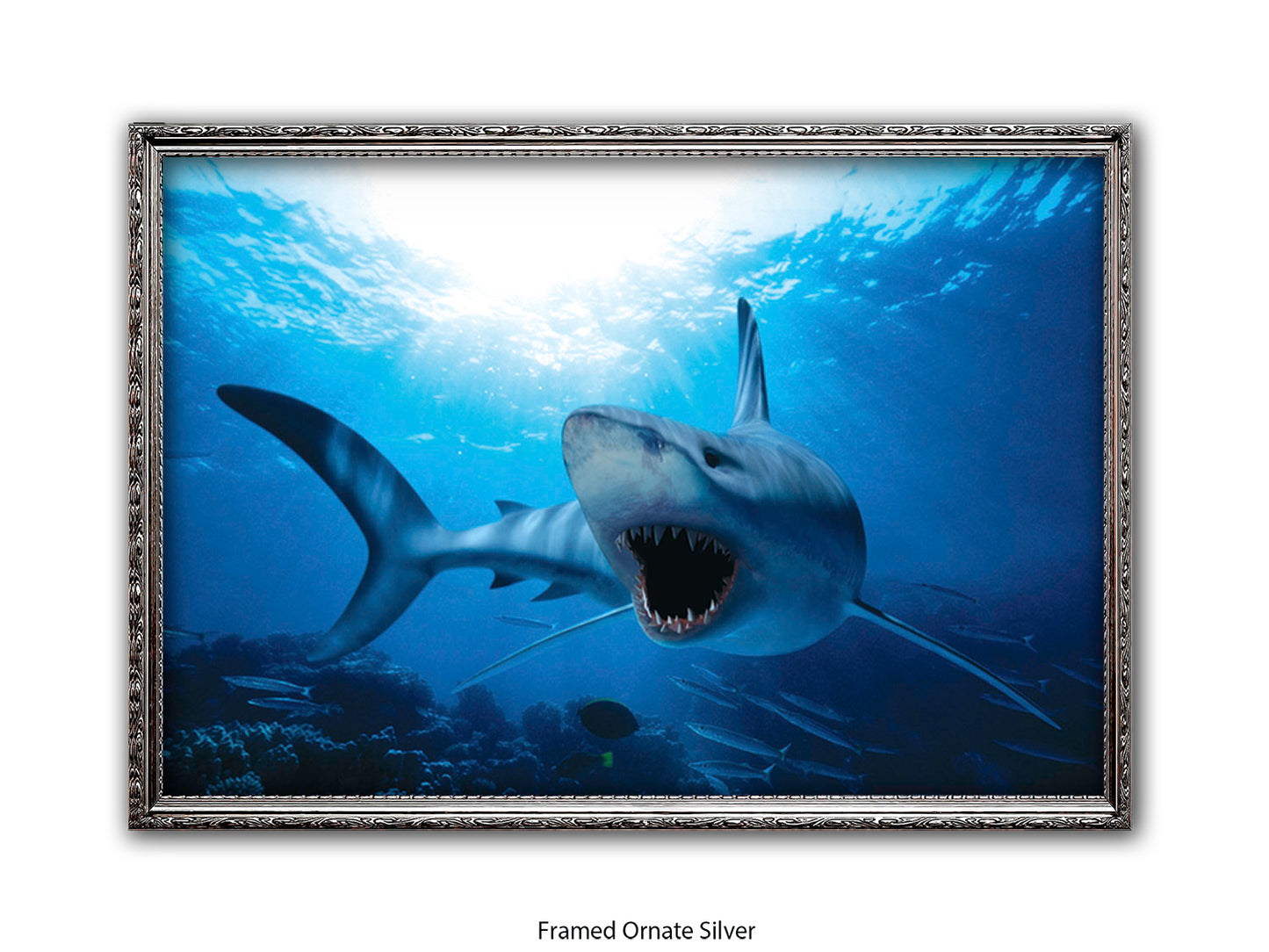 Shark Ocean Marine Wildlife Poster