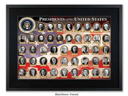 Presidents of the United States Poster