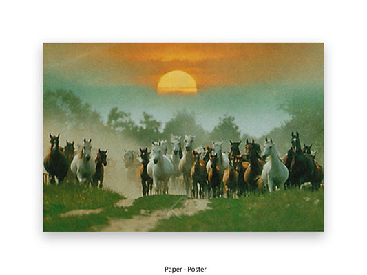 Wild horses galloping herd freedom nature equine photography poster print