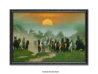 Wild Horses Freedom Nature Poster Print