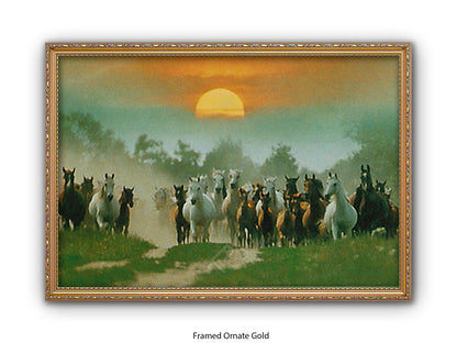 Wild Horses Freedom Nature Poster Print
