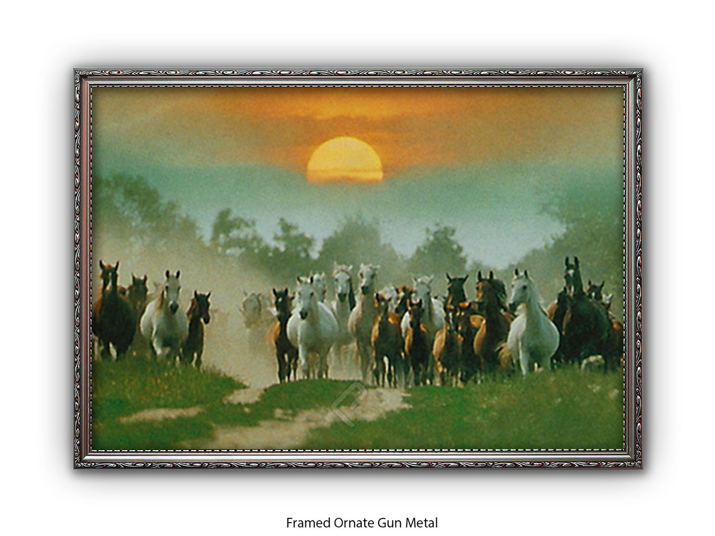 Wild Horses Freedom Nature Poster Print