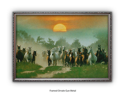 Wild Horses Freedom Nature Poster Print