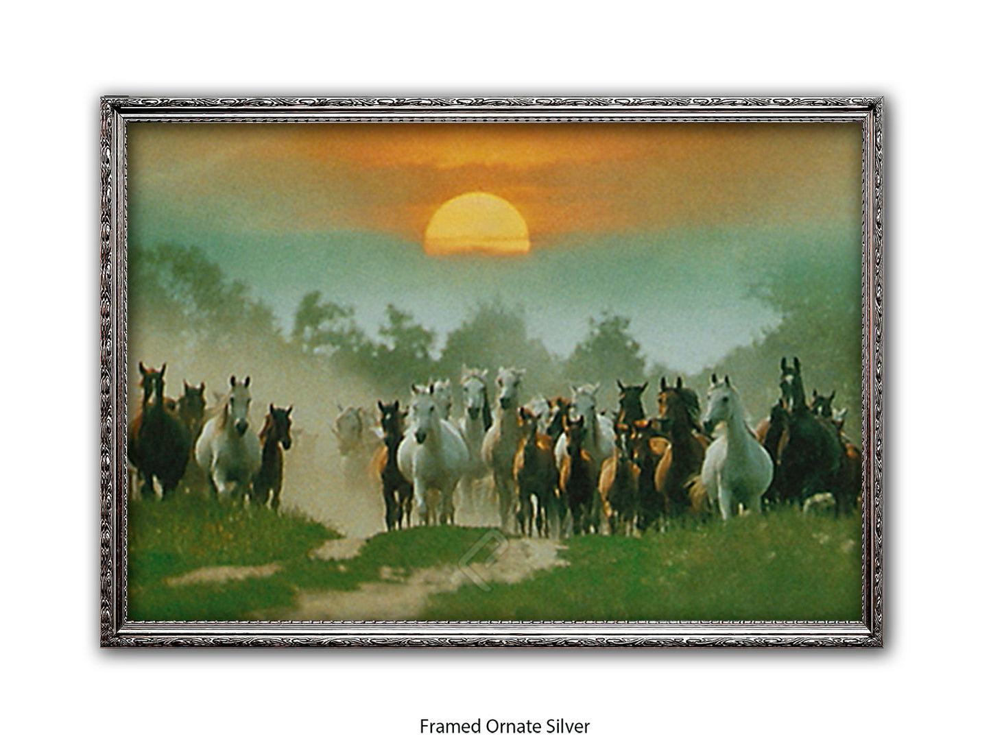 Wild Horses Freedom Nature Poster Print