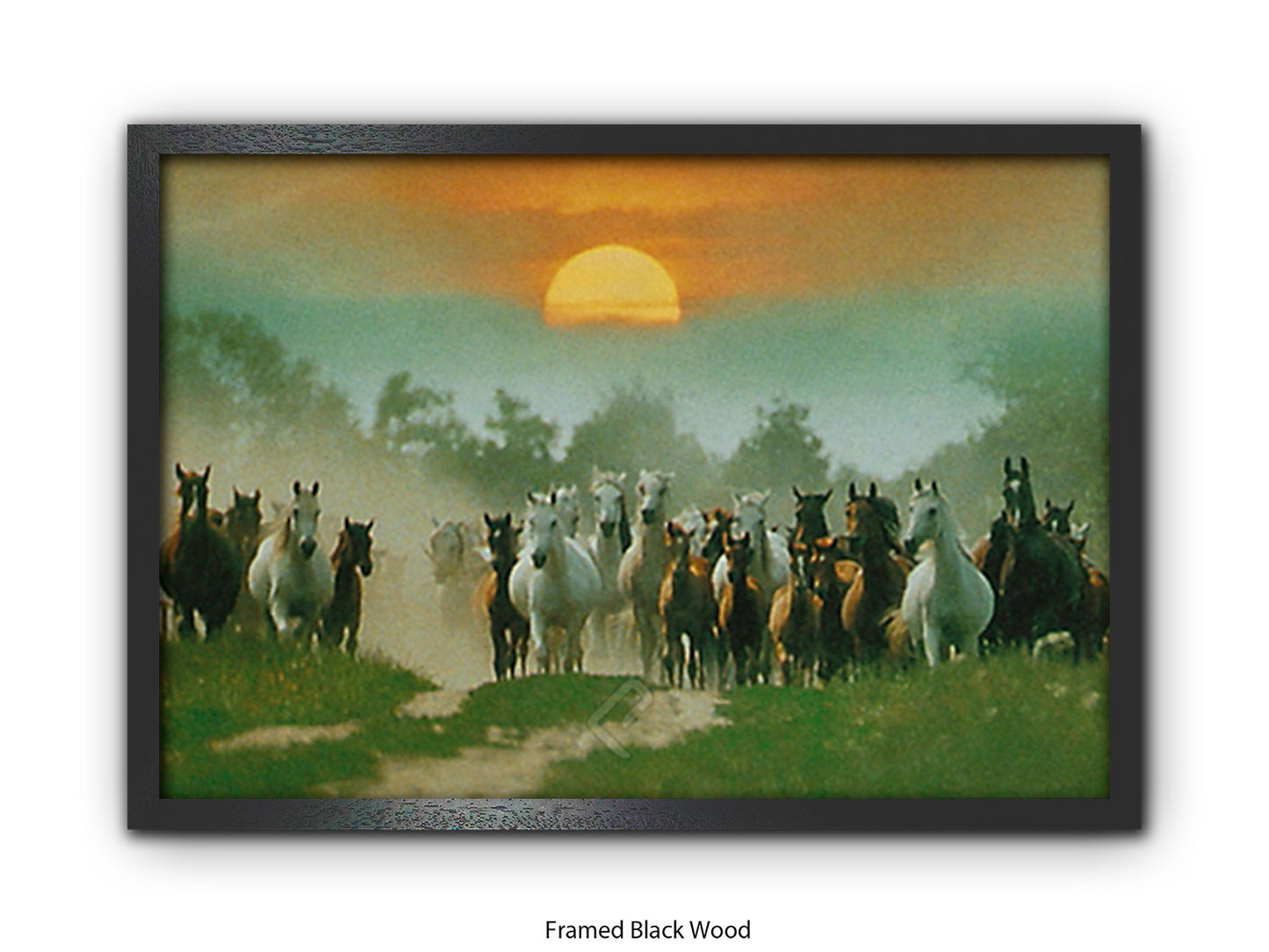 Wild Horses Freedom Nature Poster Print