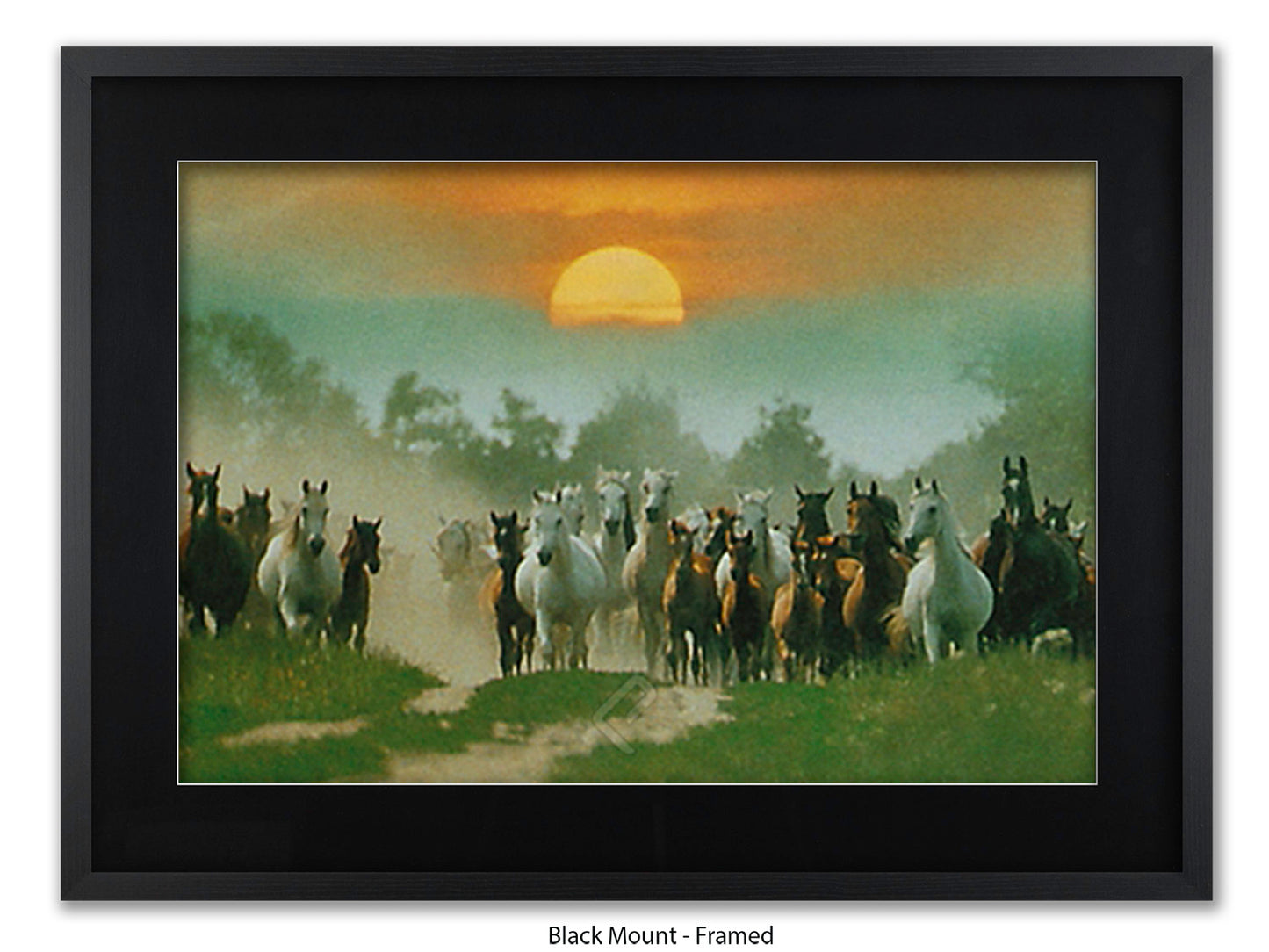 Wild Horses Freedom Nature Poster Print