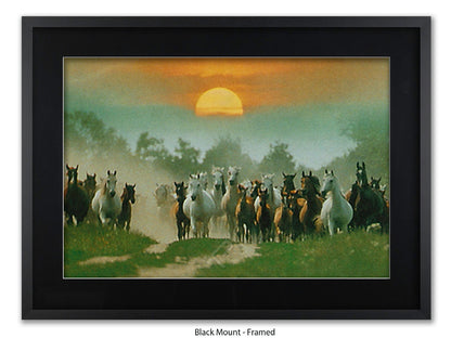 Wild Horses Freedom Nature Poster Print