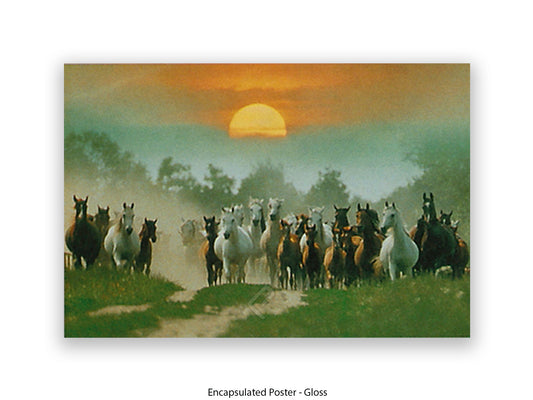 Wild Horses Freedom Nature Poster Print