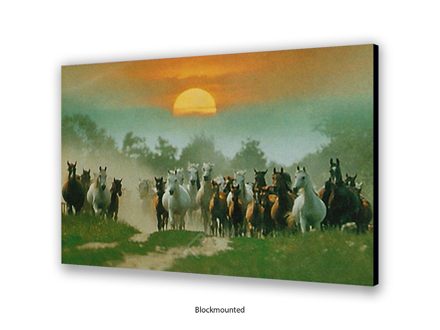 Wild Horses Freedom Nature Poster Print