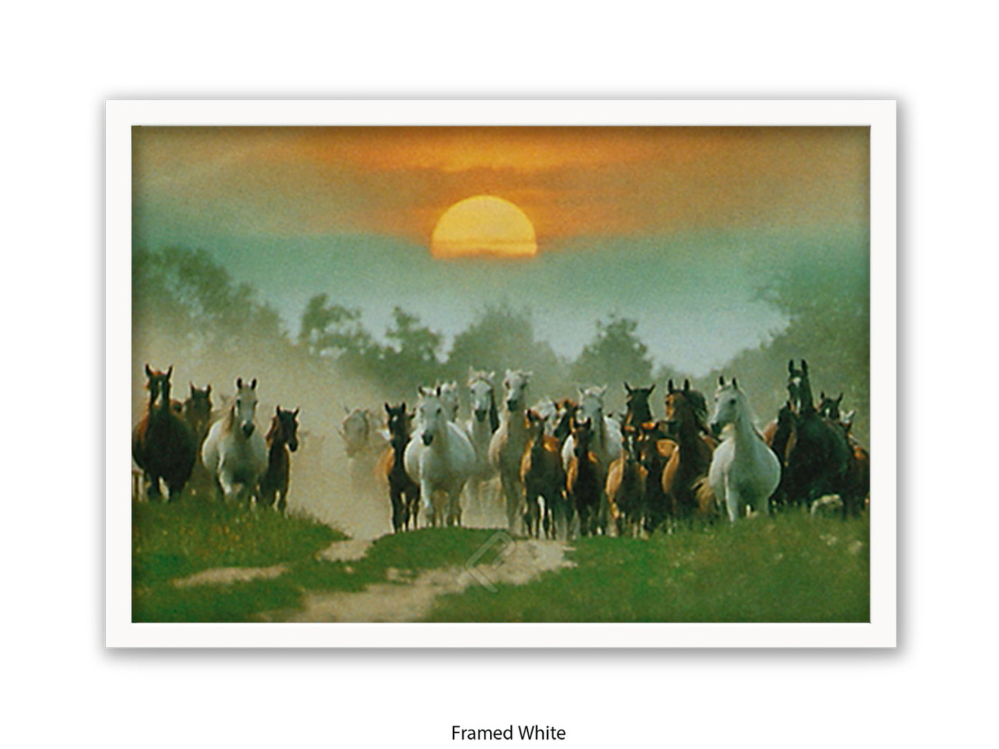 Wild Horses Freedom Nature Poster Print