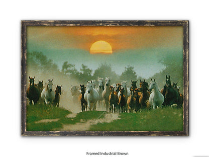 Wild Horses Freedom Nature Poster Print
