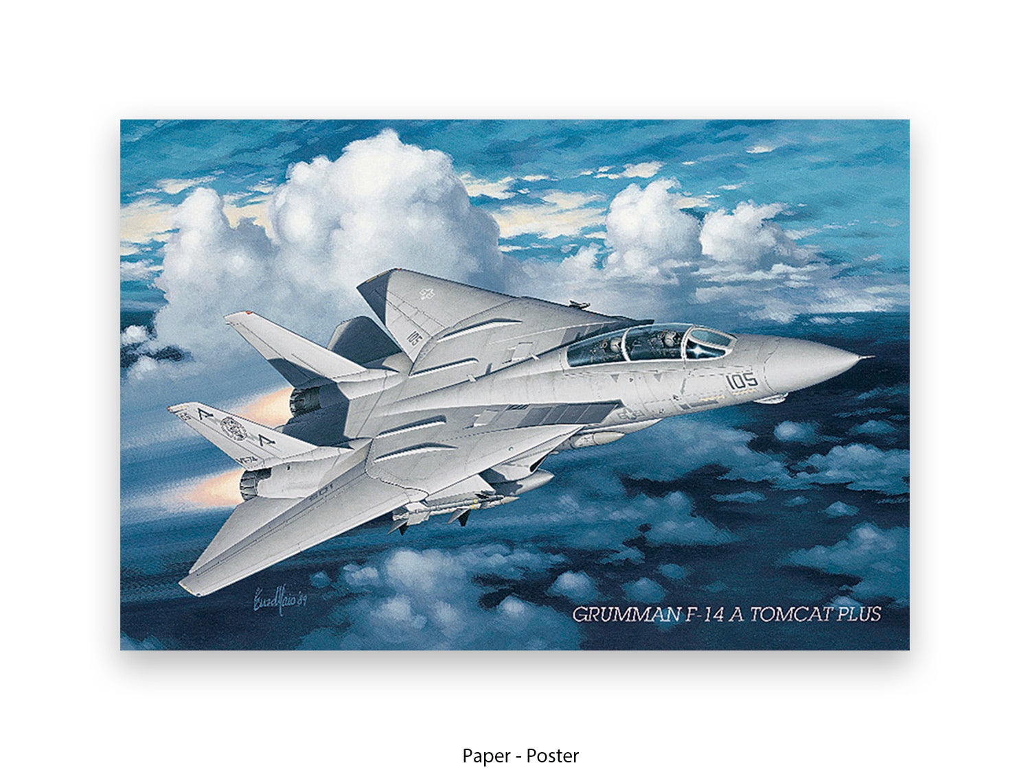 Grumman F-14 Tomcat US Navy fighter jet aviation aeroplane poster print