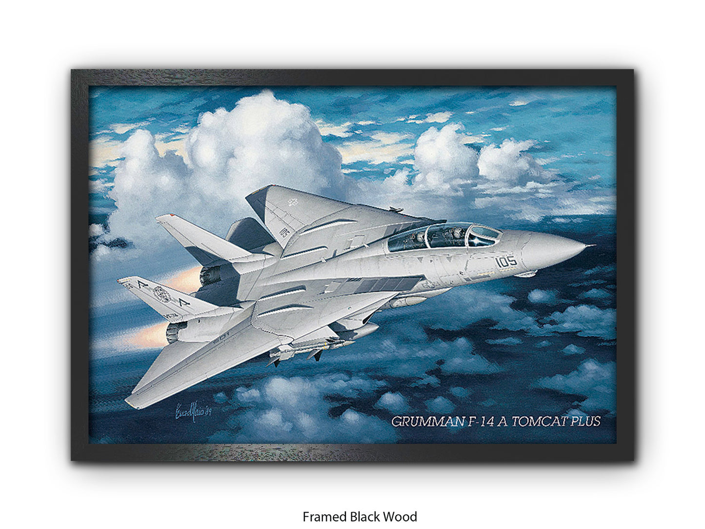 Grumman F-14 Tomcat Aviation Poster