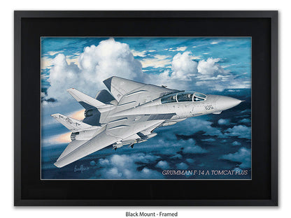 Grumman F-14 Tomcat Aviation Poster
