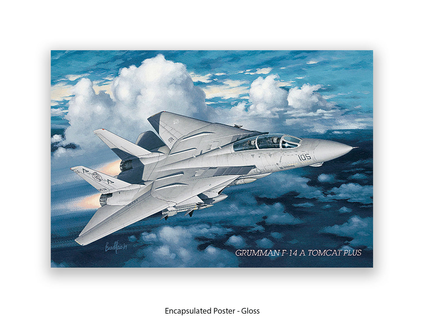 Grumman F-14 Tomcat Aviation Poster