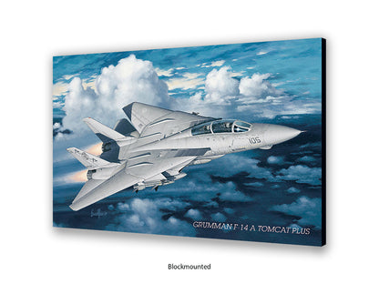 Grumman F-14 Tomcat Aviation Poster